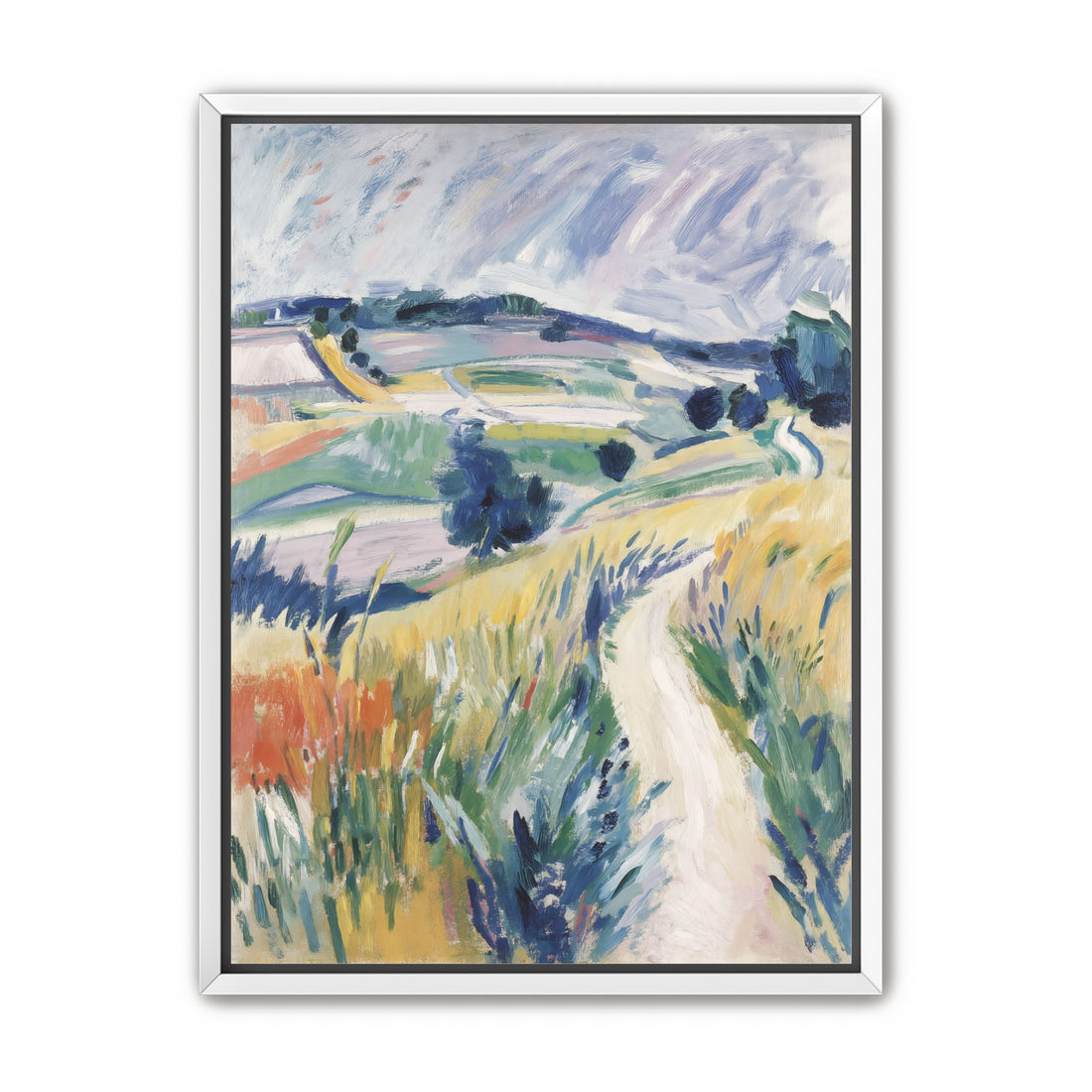 Path Through the Meadow