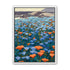 California Poppies