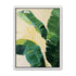 Green leaves in soft cream light