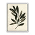 Charcoal leaves on ivory paper