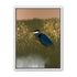 Heron among the reeds