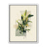 Plant in layered light