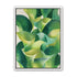 Overlapping curled green leaves