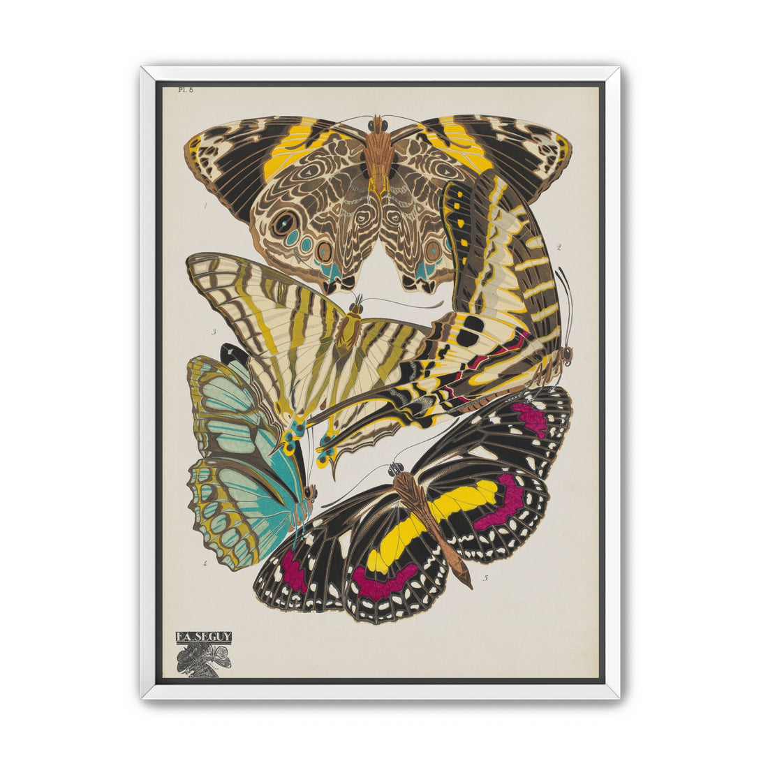 Butterflies among blank paper