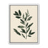 Dark green leaves on cream