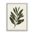 Still branch on pale paper