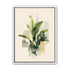 Tropical leaves in soft grids