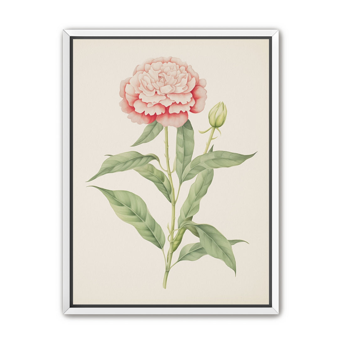 Delicate Blush