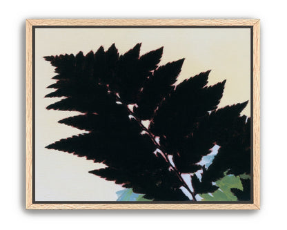 Black leaves on pale ground