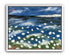 White flowers in blue wind