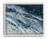 Flowers in a blue rush
