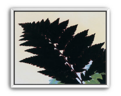 Black leaves on pale ground
