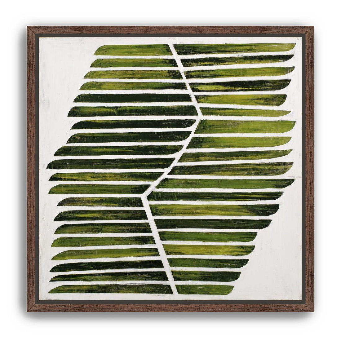 Leaf ribs around a white vein
