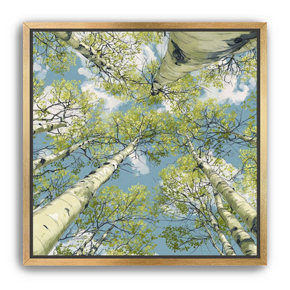 Aspen Canopy I