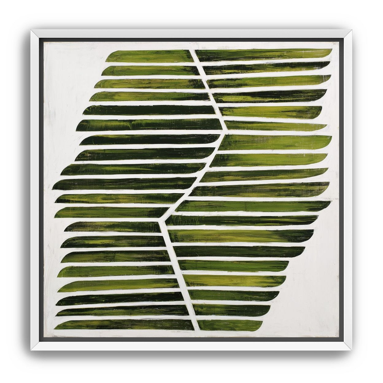 Leaf ribs around a white vein
