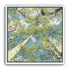 Aspen Canopy I