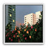 Roses below lit windows