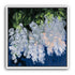 White blooms in blue shade