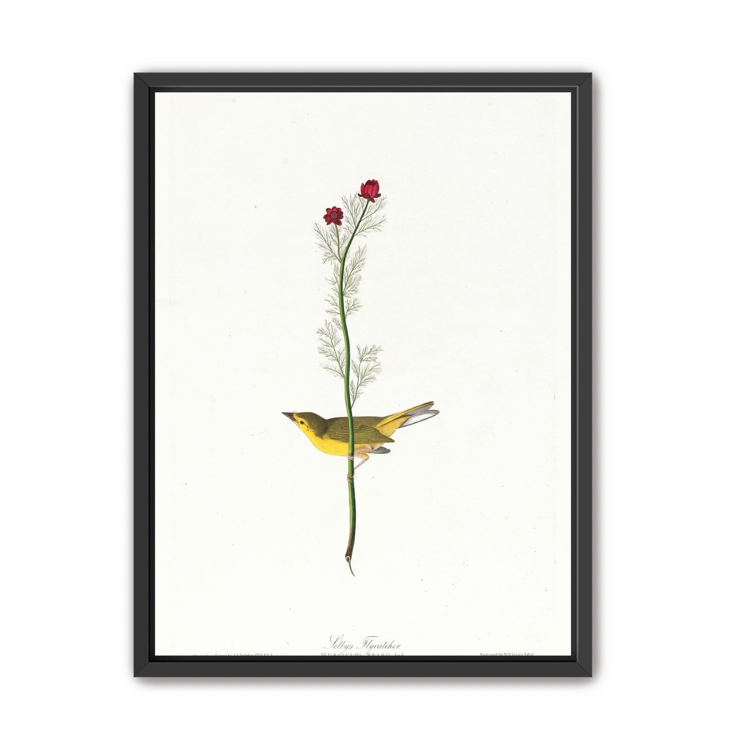 A yellow bird beneath red blooms