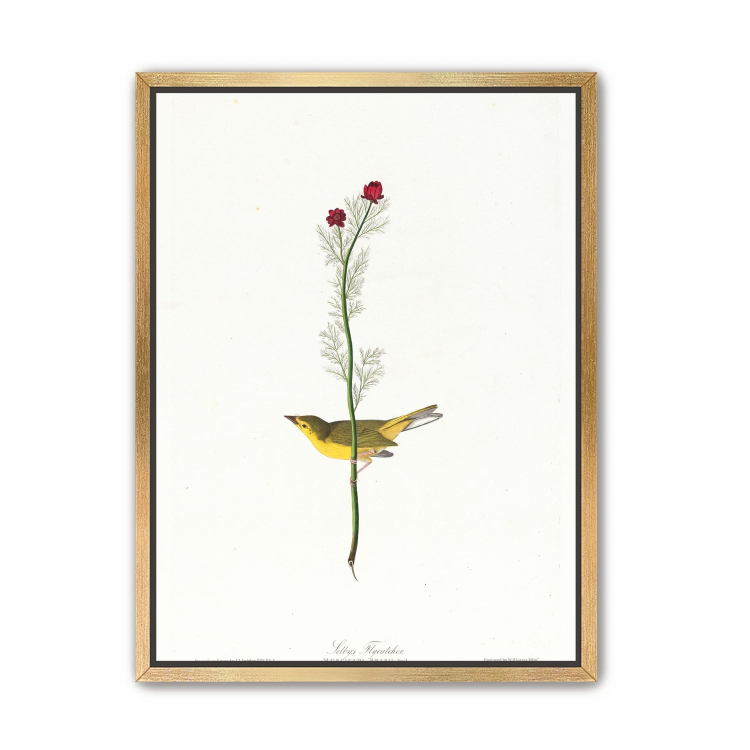 A yellow bird beneath red blooms