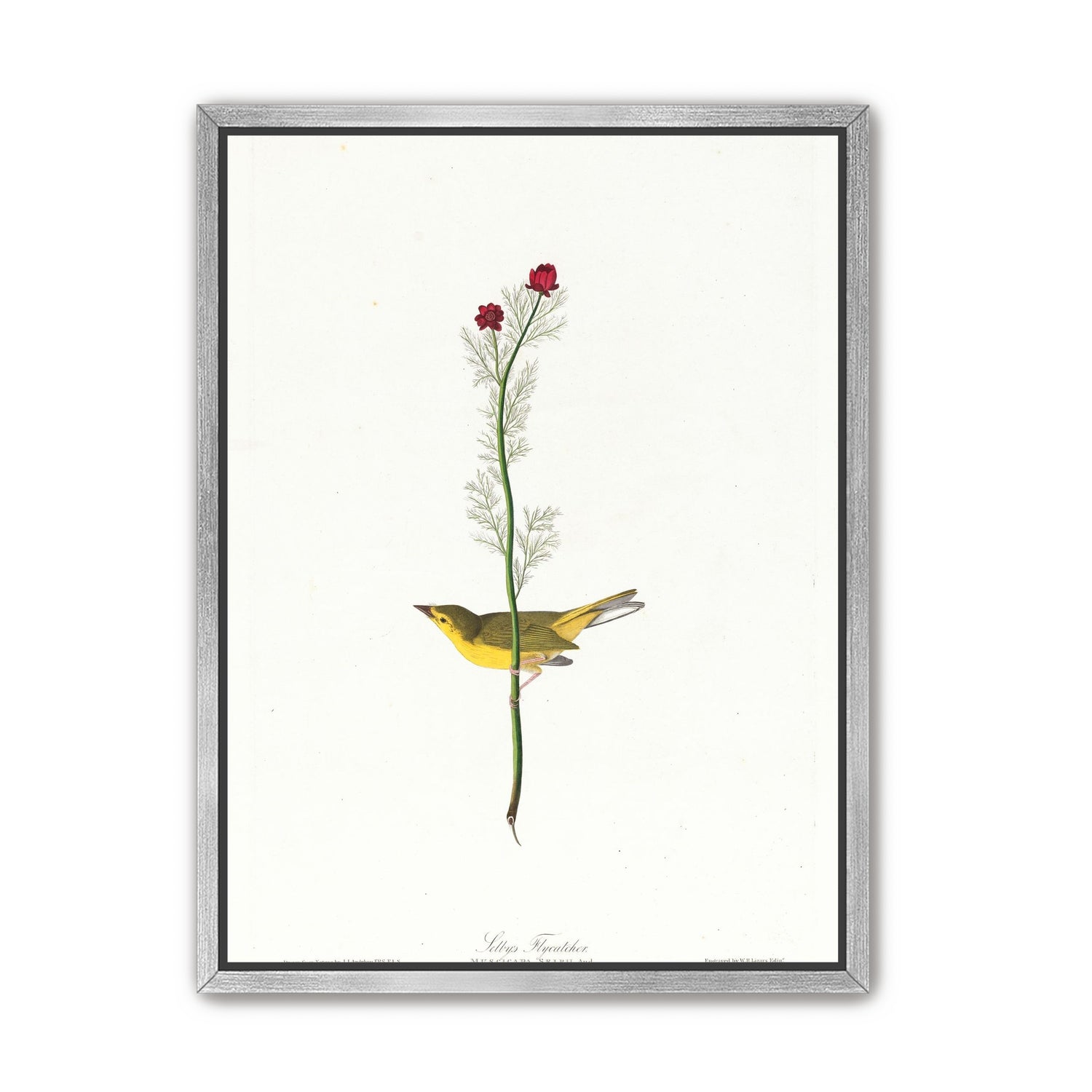 A yellow bird beneath red blooms