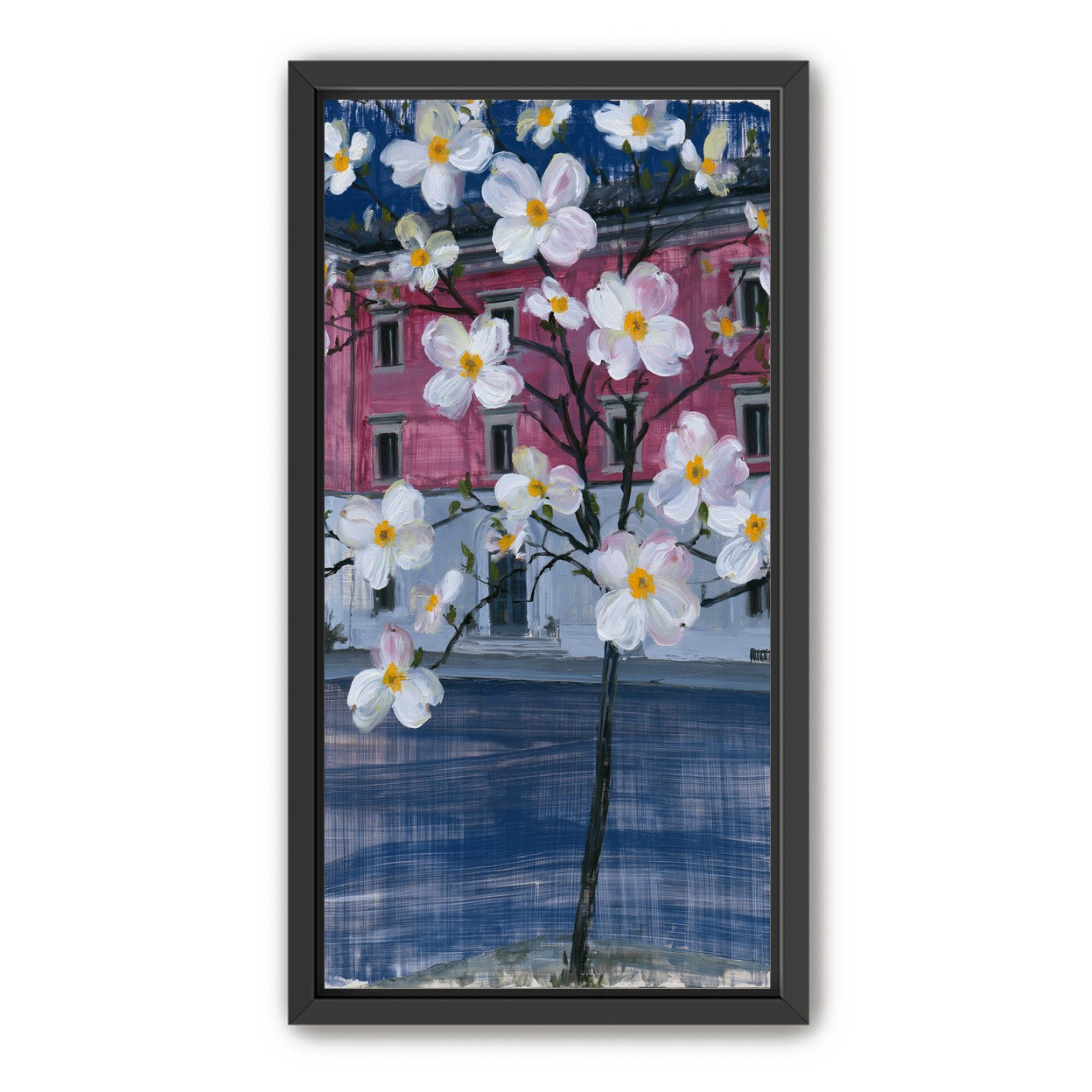 White blossoms over the pink house
