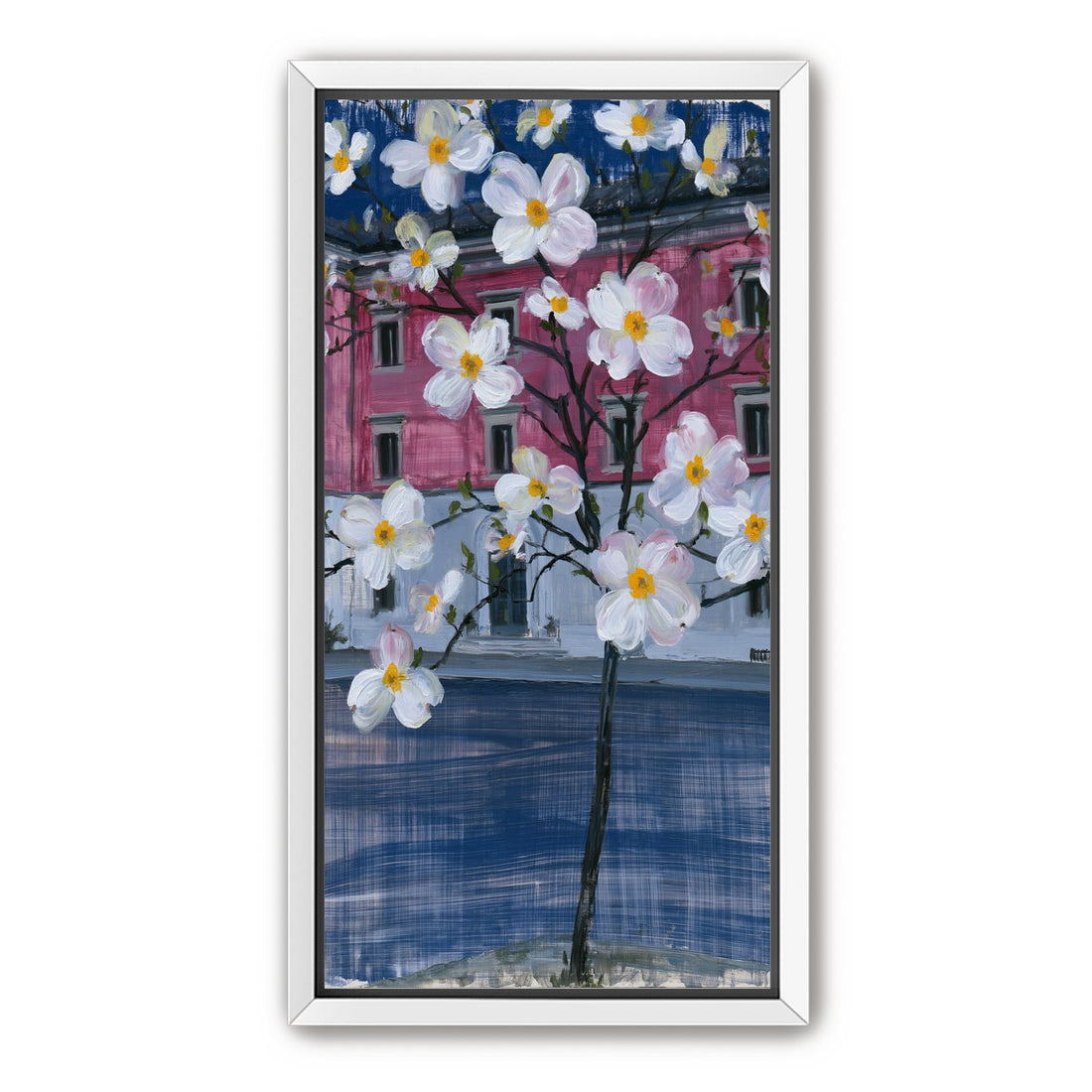White blossoms over the pink house