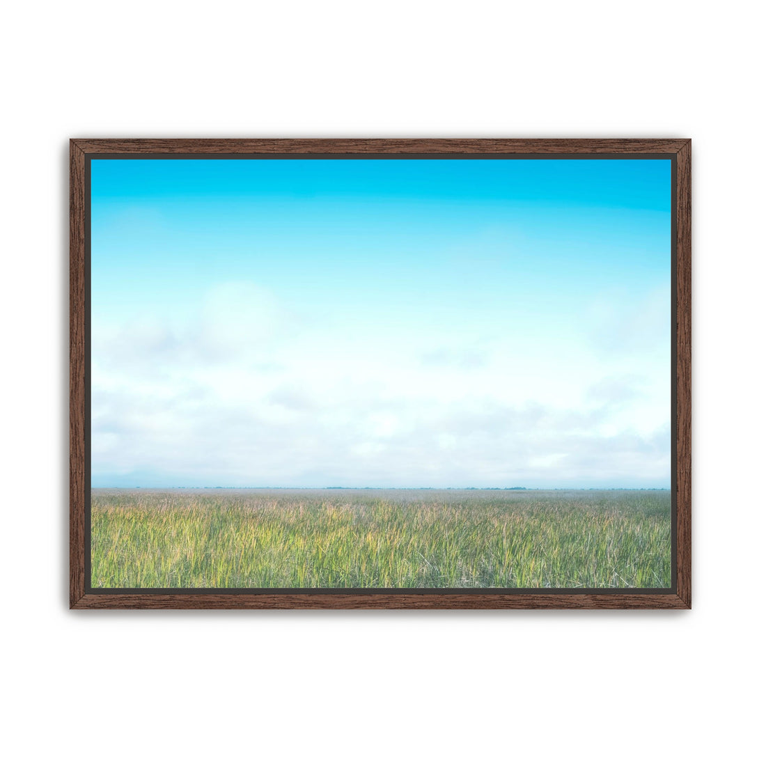Grasslands