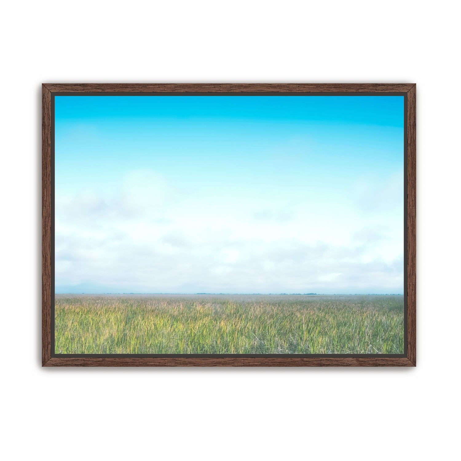 Grasslands