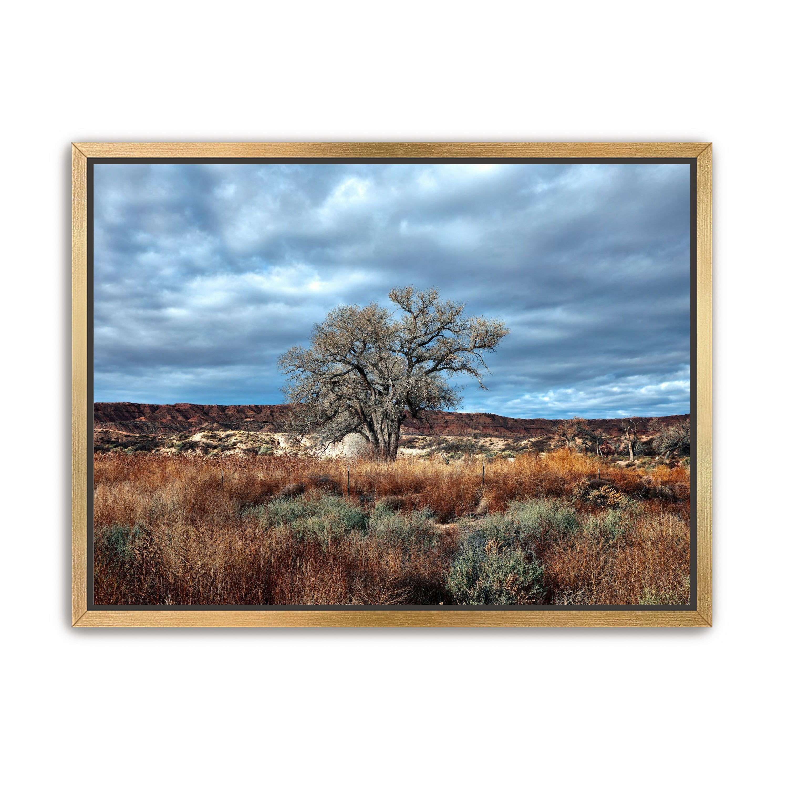 Desert Sentinel