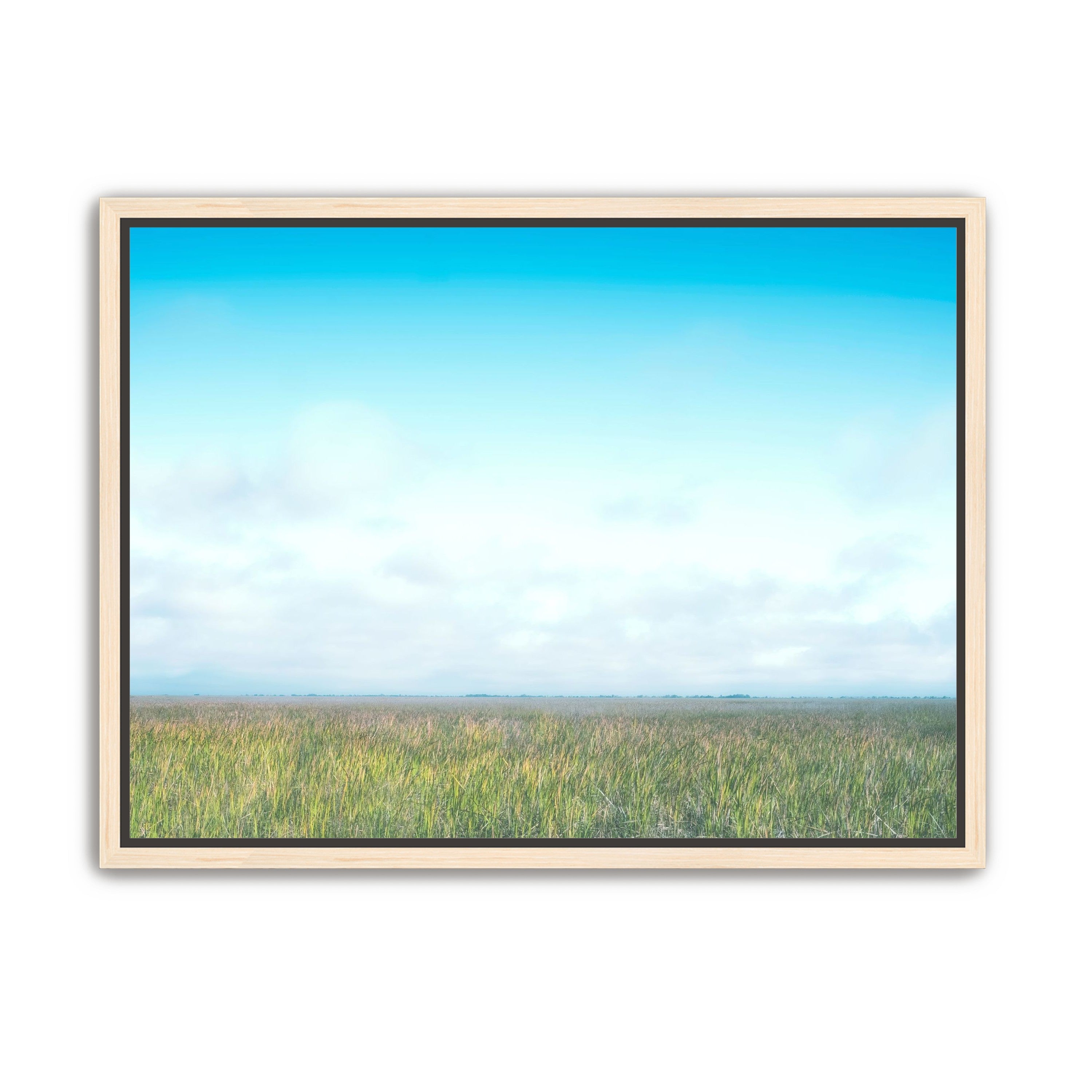Grasslands
