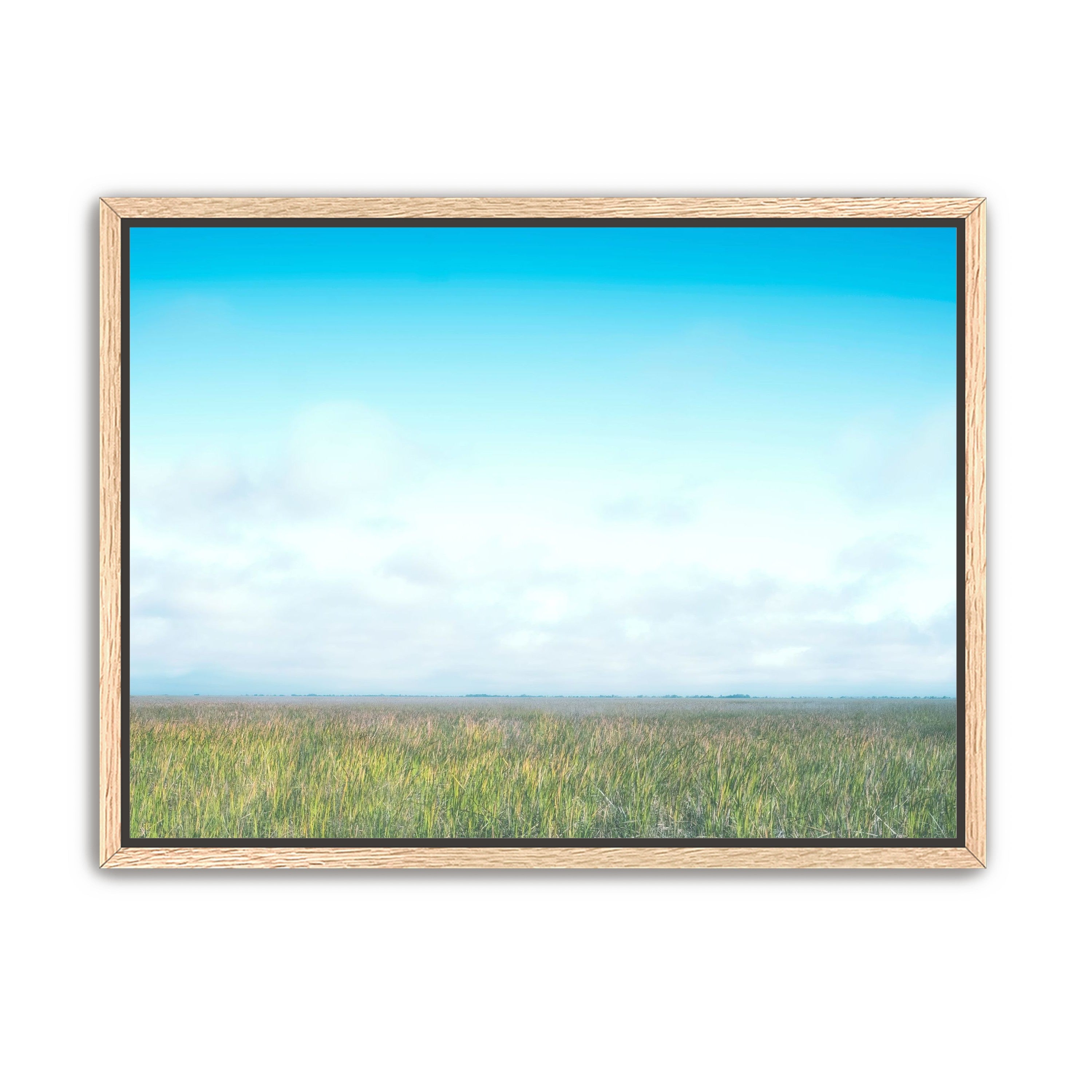 Grasslands