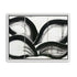 Black arcs across white panels