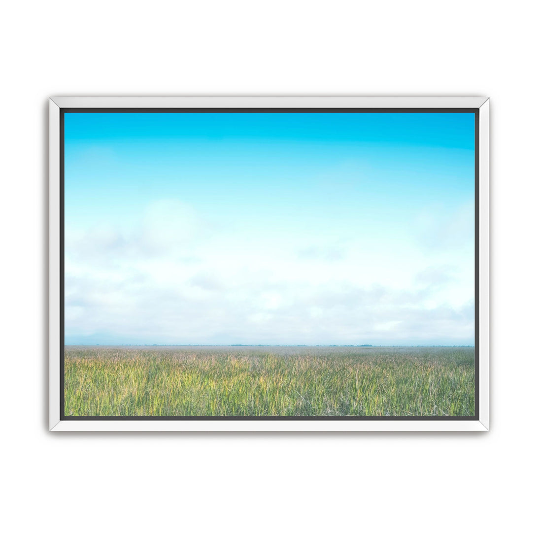 Grasslands