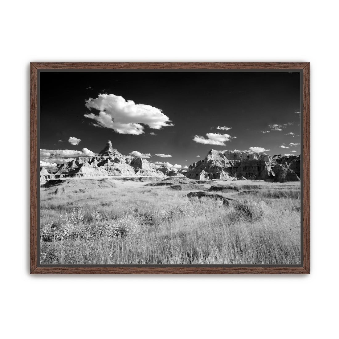 Badlands in Monochrome
