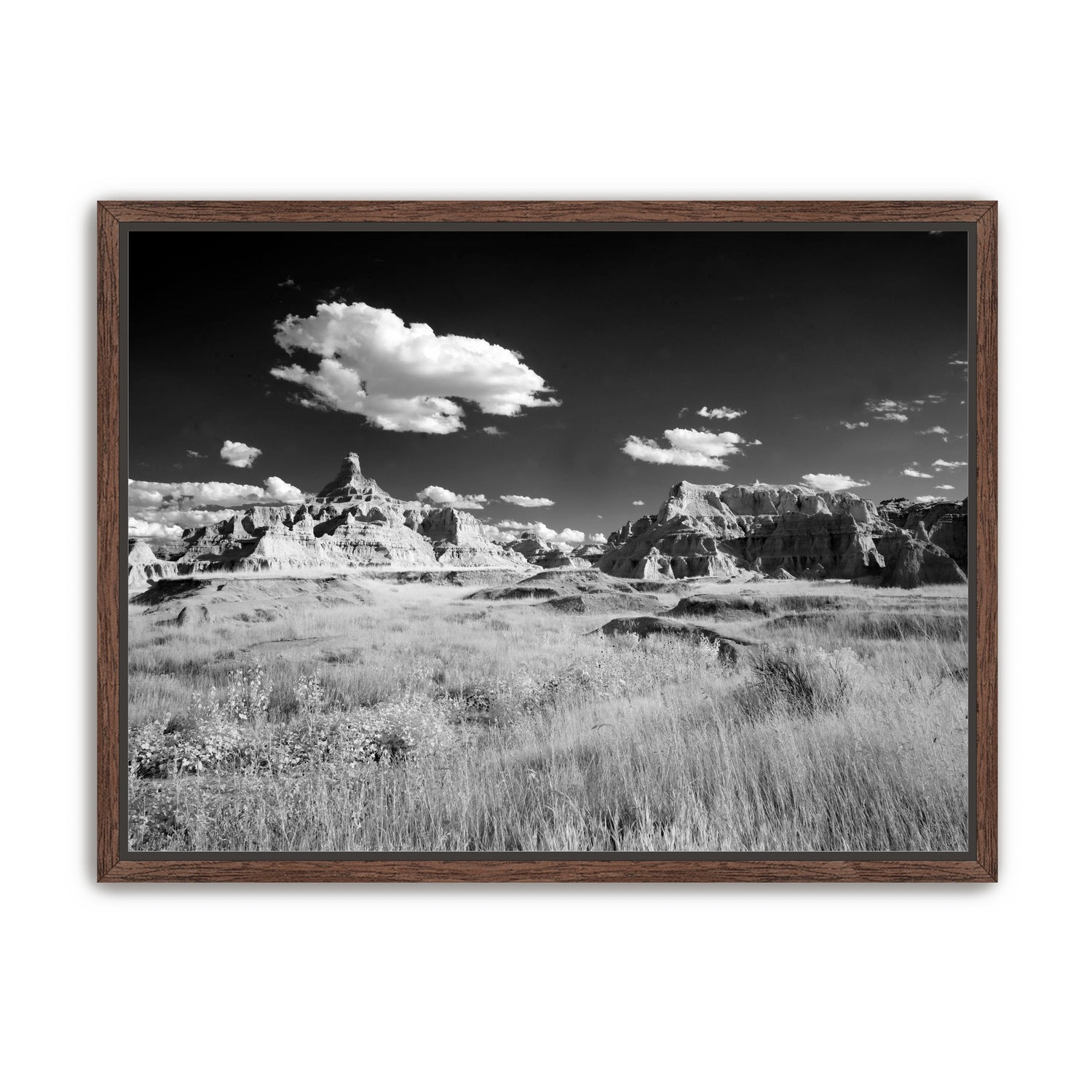 Badlands in Monochrome