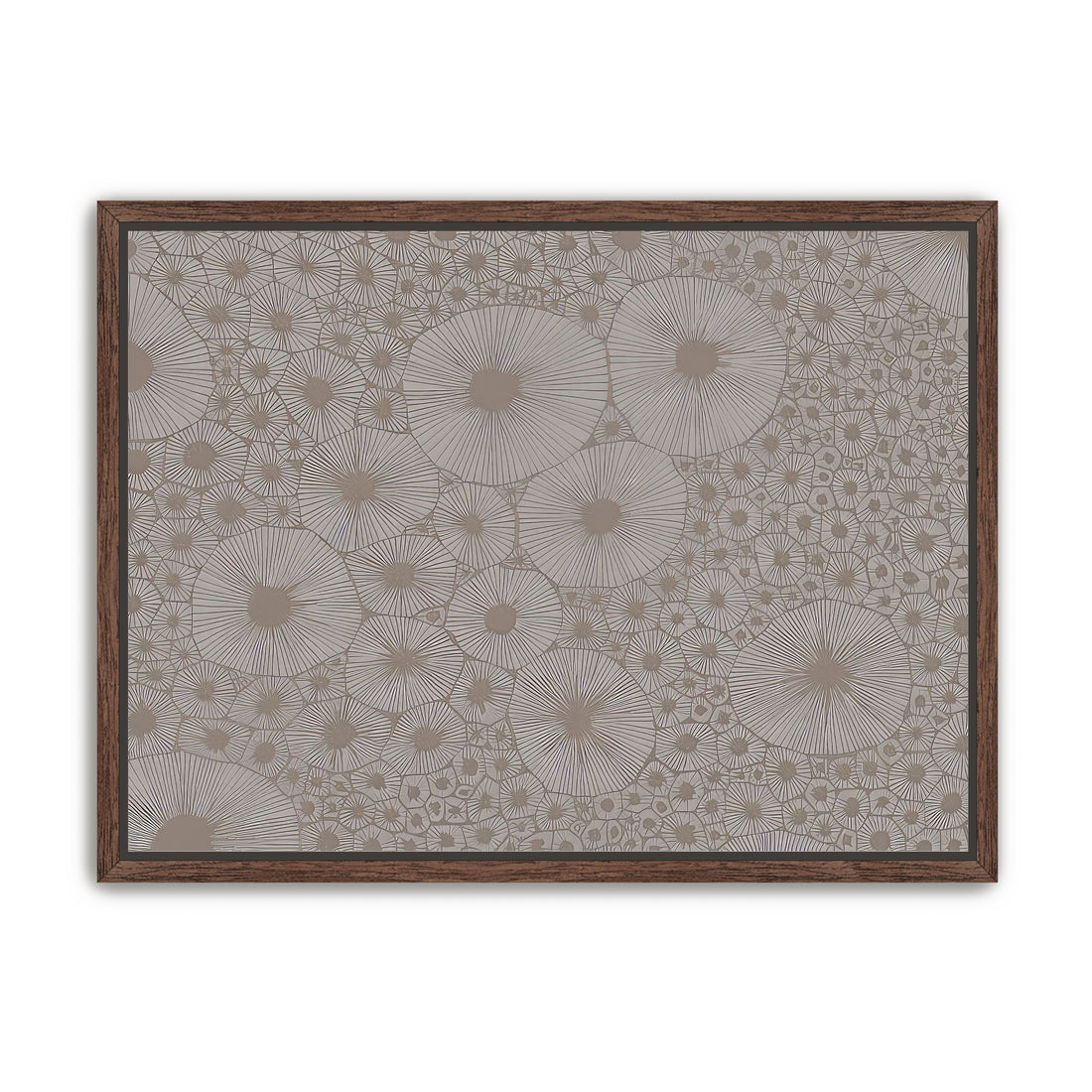 Bold Coral