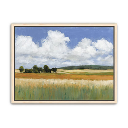 Meadow Under Clouds 