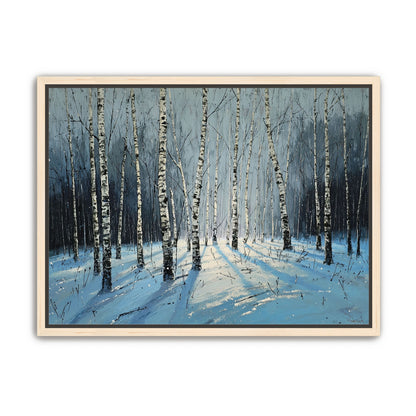 Birch Trees in Winter Light
