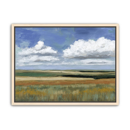 Wide Open Country