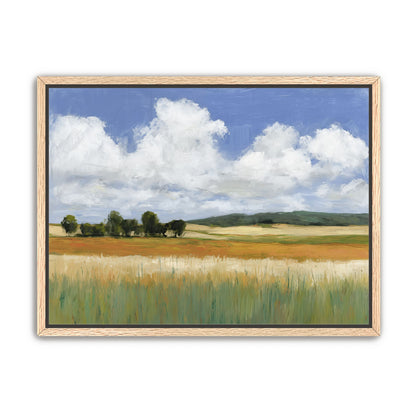 Meadow Under Clouds 