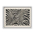Zebra stripes across the frame