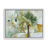 Wind Shaped Palm