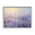 Lavender Fields