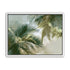 Palm Canopy