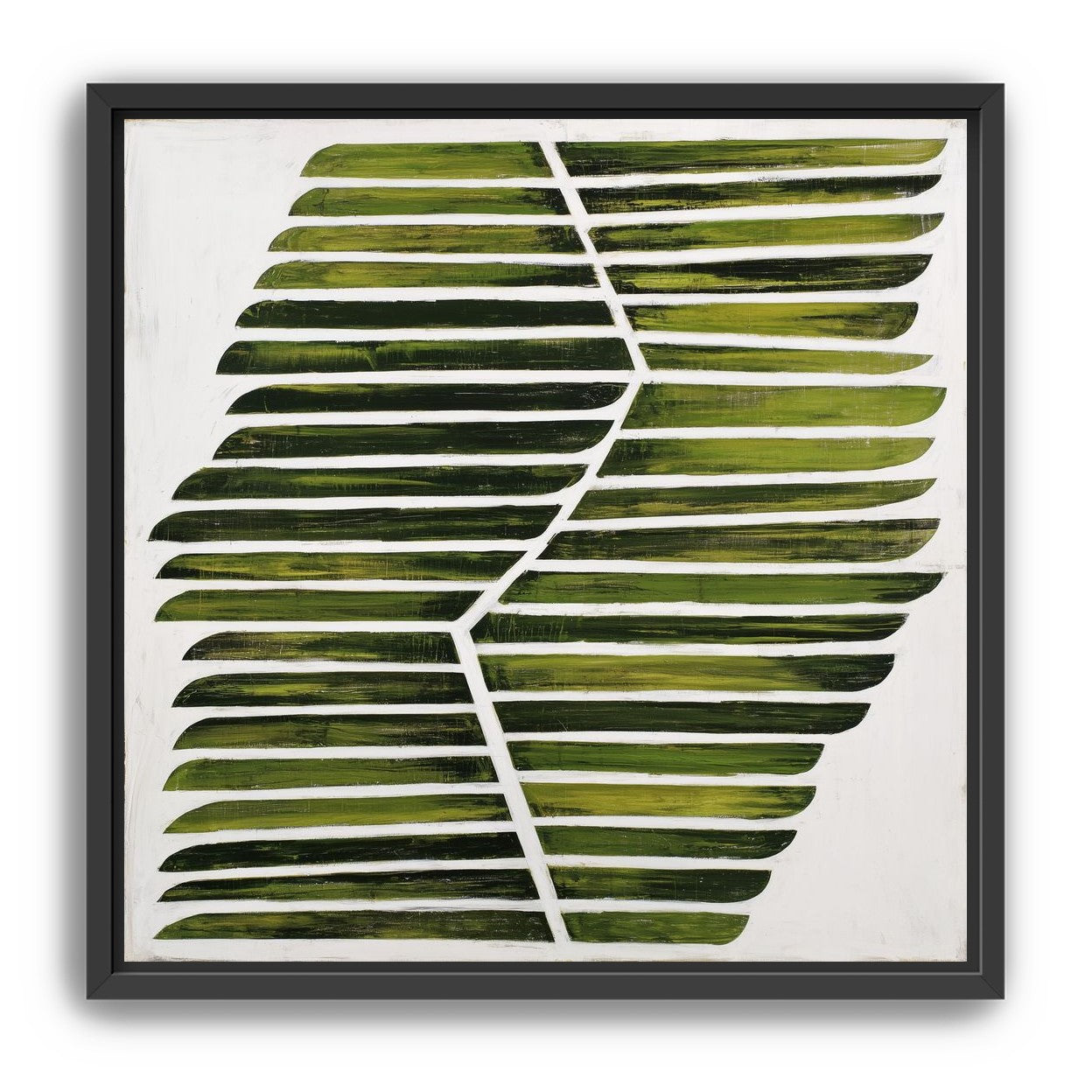 Leaf ribs around a white vein