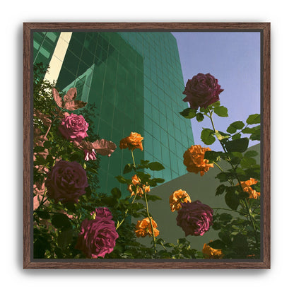 Roses climbing the glass wall