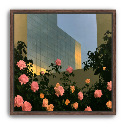 Roses against the glass wall