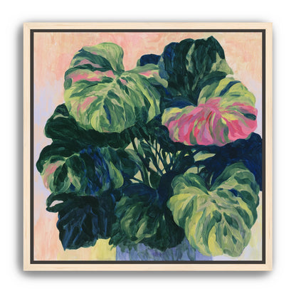 Pink light on green leaves