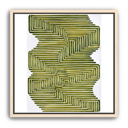 Olive bands in white quiet